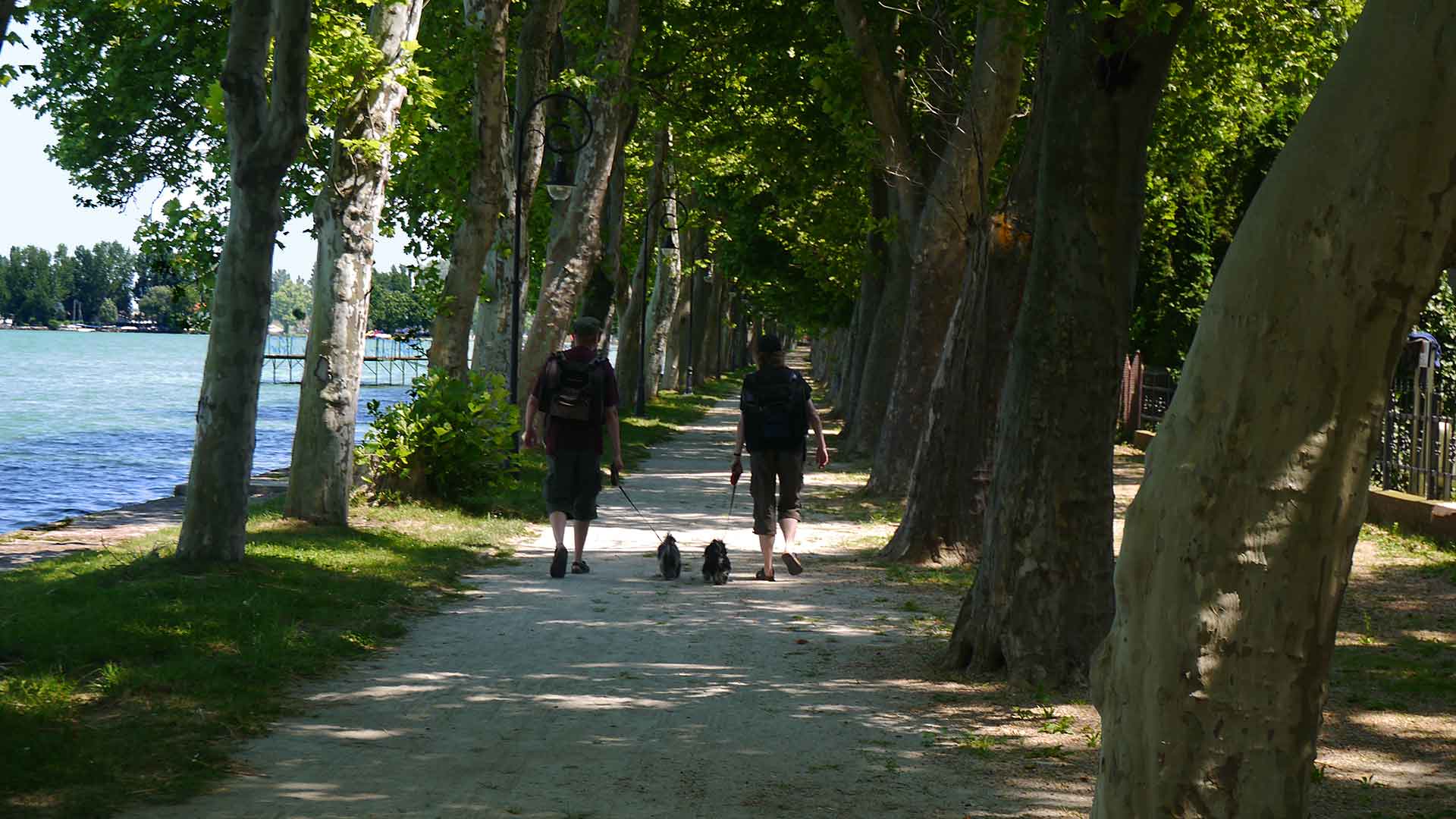 Balatonföldváron, a hangulatos kikötőtő szomszédságában, felújított apartman eladó