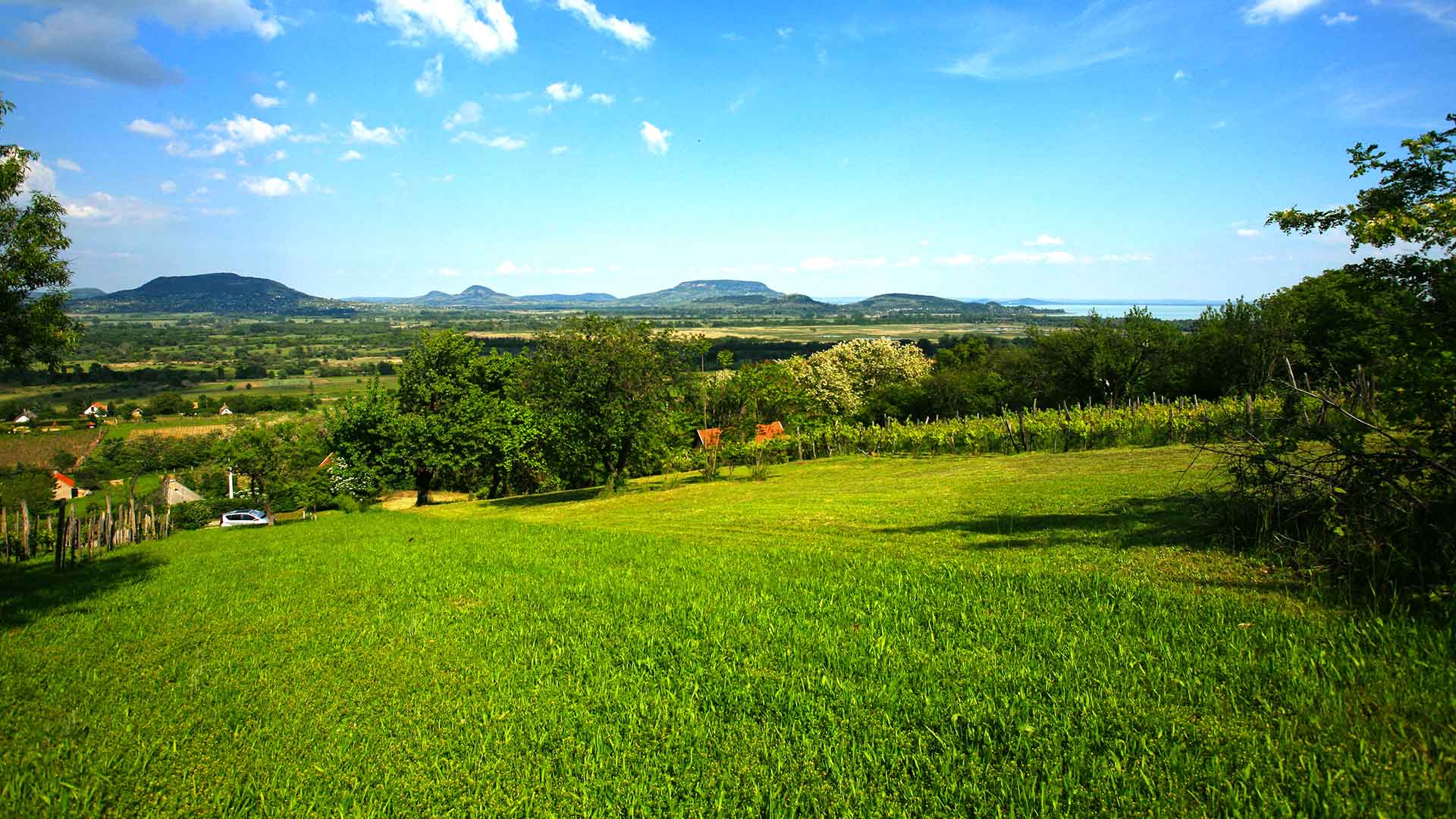Pihenésre, kikapcsolódásra alkalmas tökéletes hely. Panoráma a Tapolcai-medencére és a Balatonra.