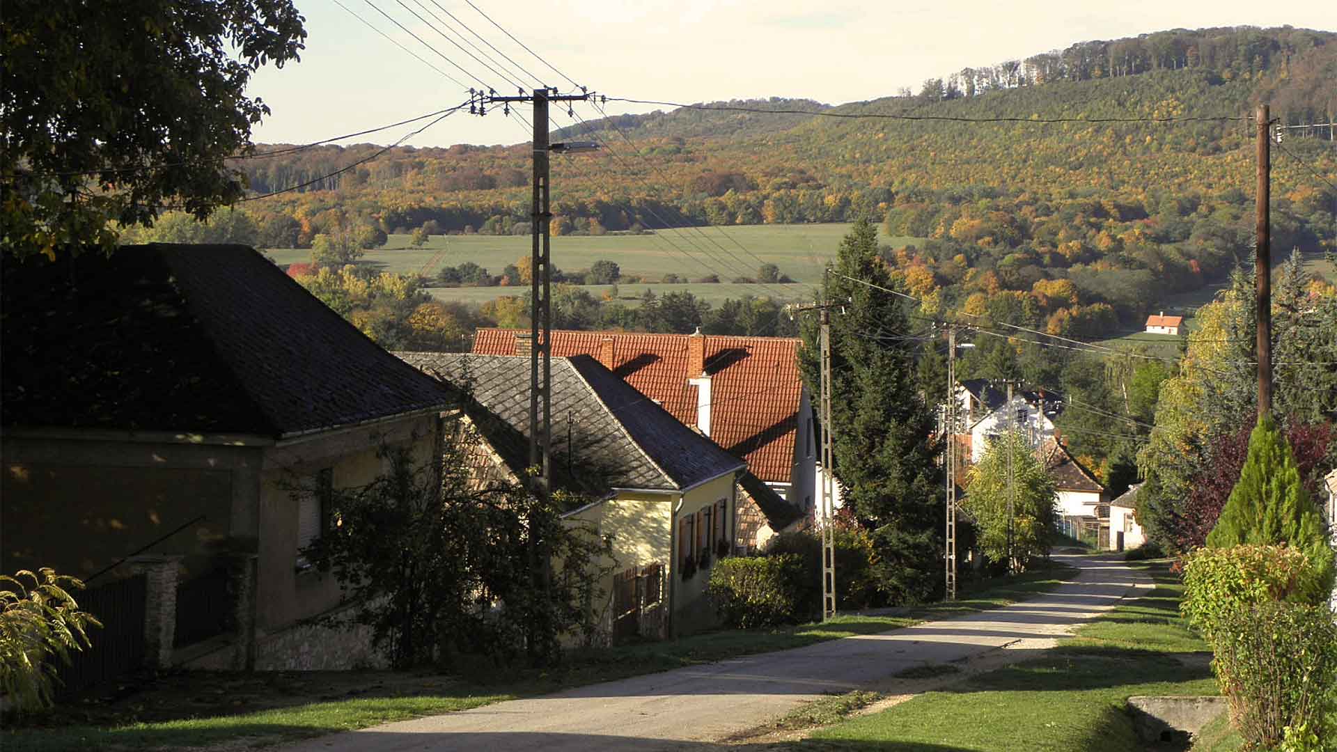 Bakonyi falucska utcaképe.