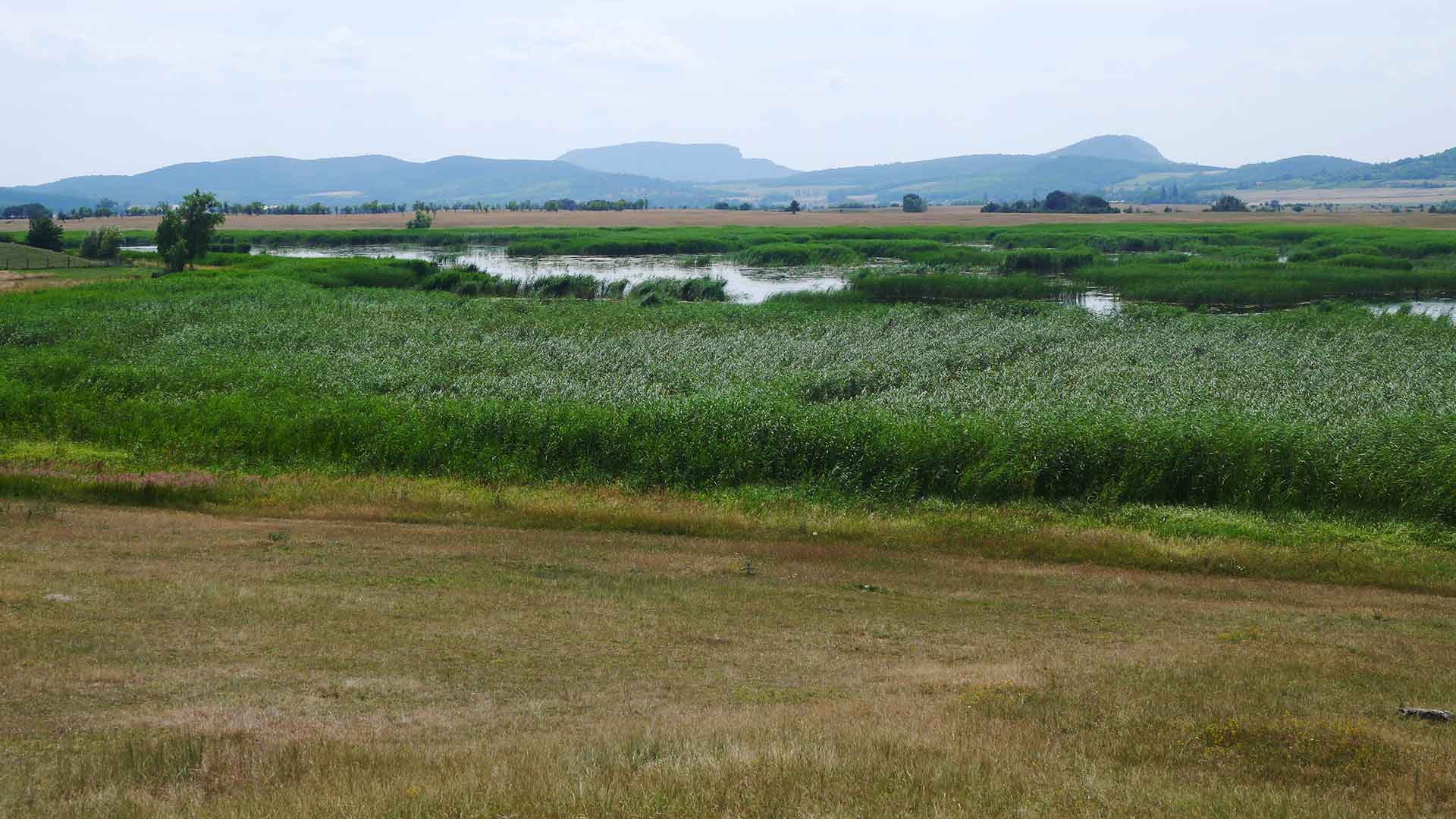 Balaton-felvidék, Káli-medence, Kornyi-tó.