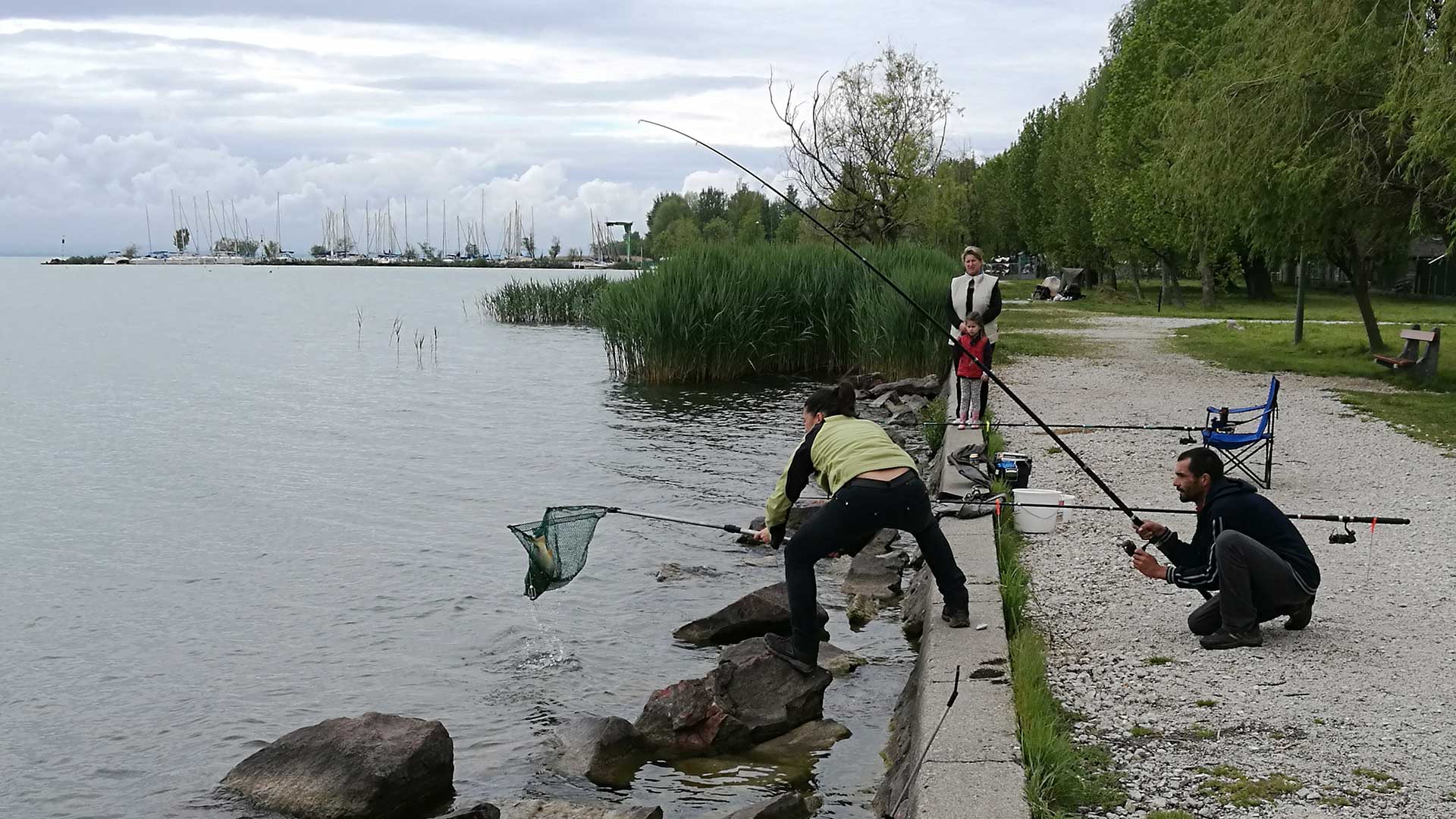 Balatonalmádi merítés.