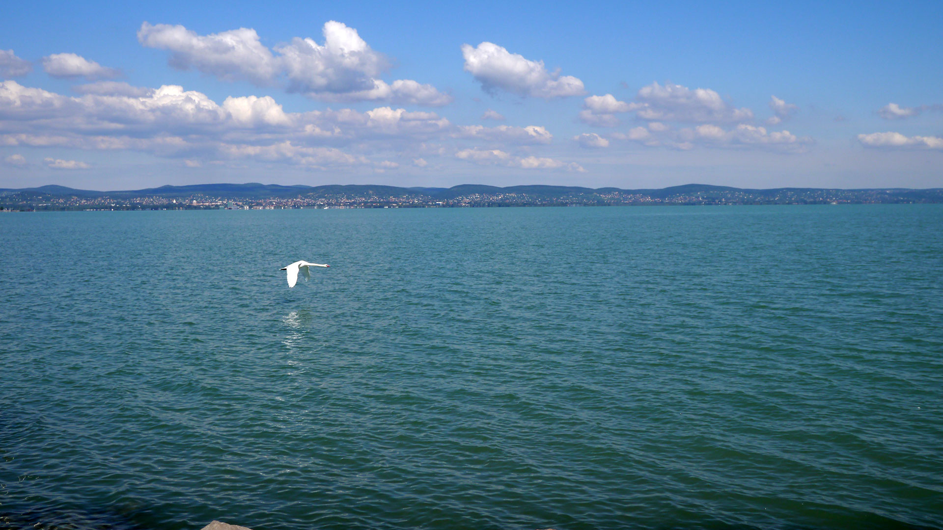 Balaton felett repülő Hattyú.