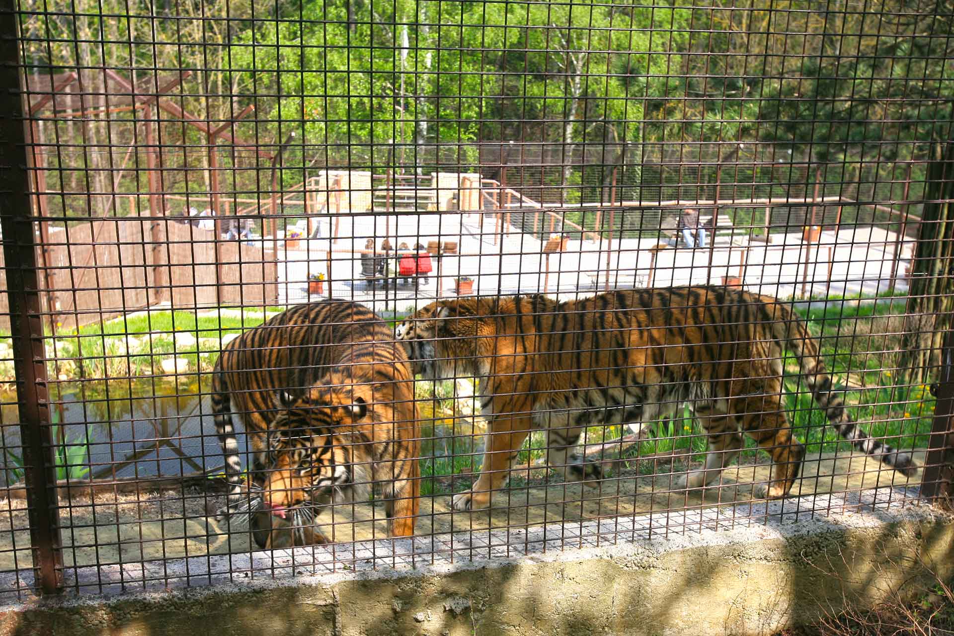 Veszprém, Zoo.