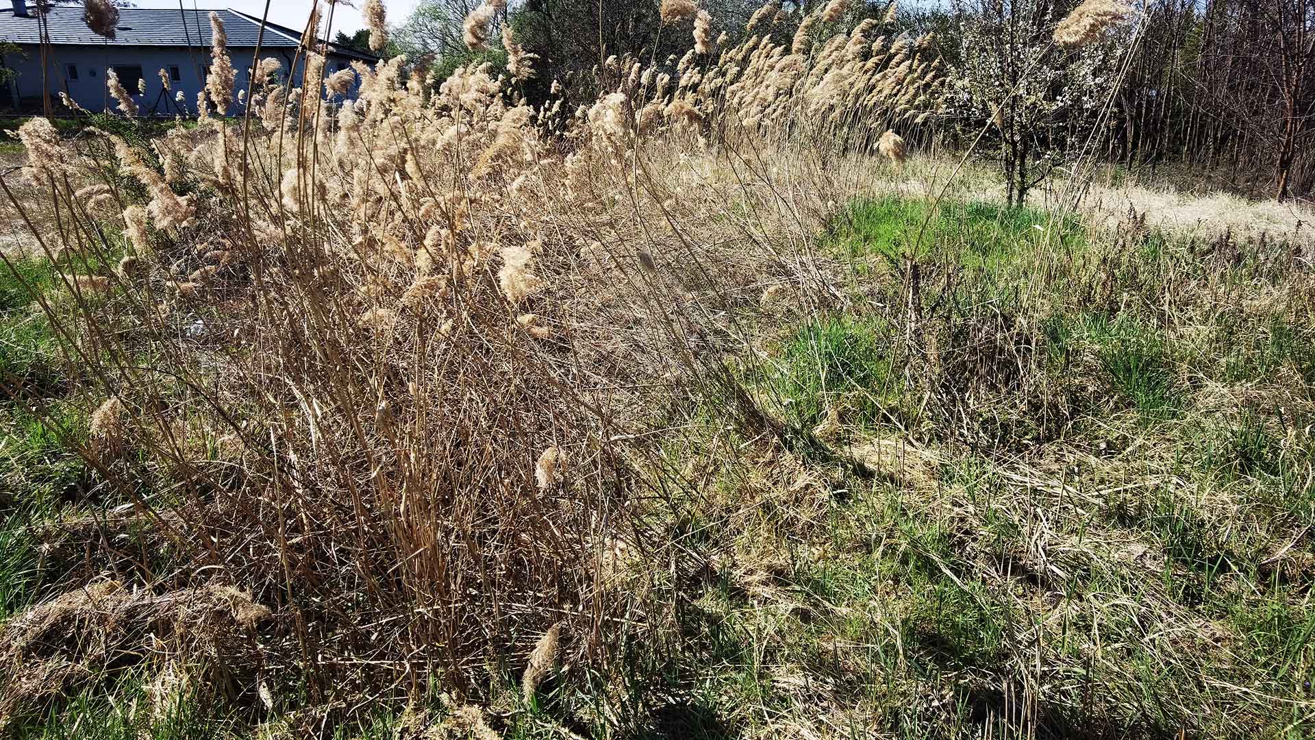 Amikor elkészült a háza, büszkén megmutathatja ismerőseinek, meghívhatja üzletfeleit