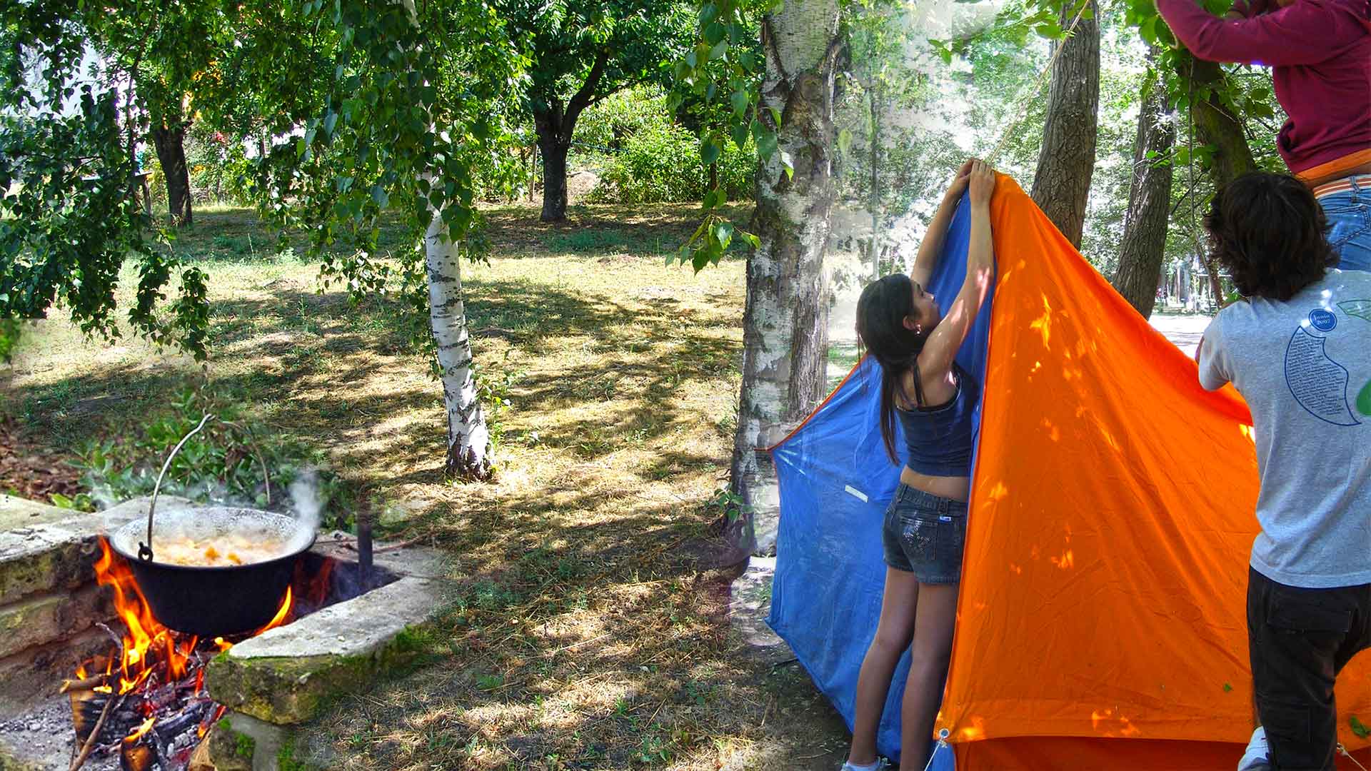 Balaton déli partján, közvetlen vízparti telek eladó