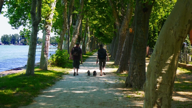 Balatonföldváron, vízparti jellegű üdülőépület saját stéggel eladó