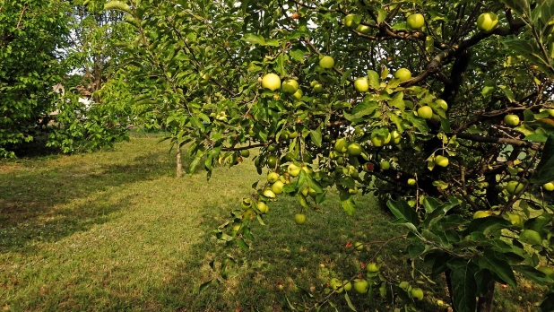 A Balaton déli partján, építési telek eladó