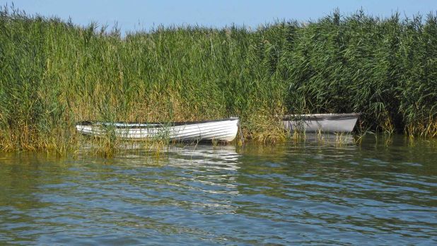 A Balaton északi partján, horgászatra horgásztatásra alkalmas közvetlen vízparti terület eladó