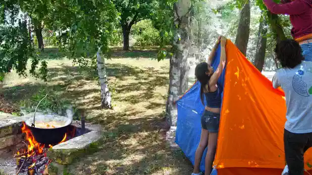 Balaton déli partján, közvetlen vízparti telek eladó