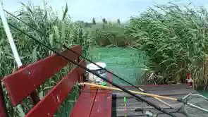 Balaton északi partján közvetlen vízparti ingatlan