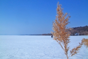 Téli táj, befagyott Balaton.