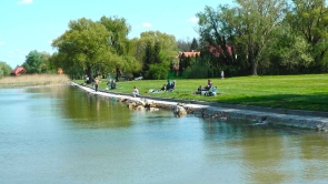 Balaton déli partján, a vasút és a vízpart között, építési telek eladó 