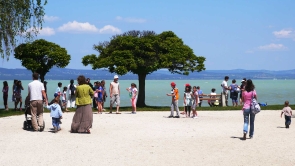 Balatonszárszón, eladó nyaralót, házat keresek Vevőimnek