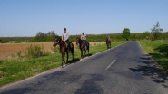 Lovasok a Balaton-felvidéken.